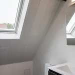 Maison Moderne Au Coeur Du Perigord Avec Animaux Admis - Fr-1-616-337 Tatil Evi *
